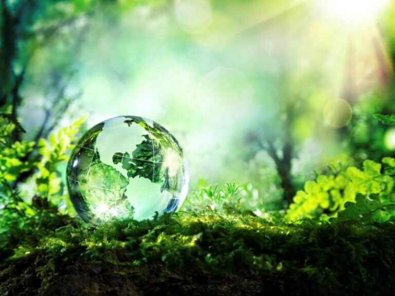 How the Business World Has Become More Eco-Friendly in the 21st Century